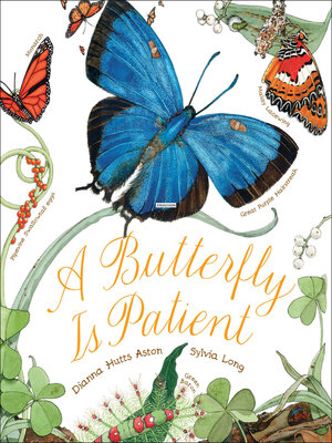 cover image of A Butterfly Is Patient